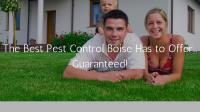 Combs Pest Control image 1